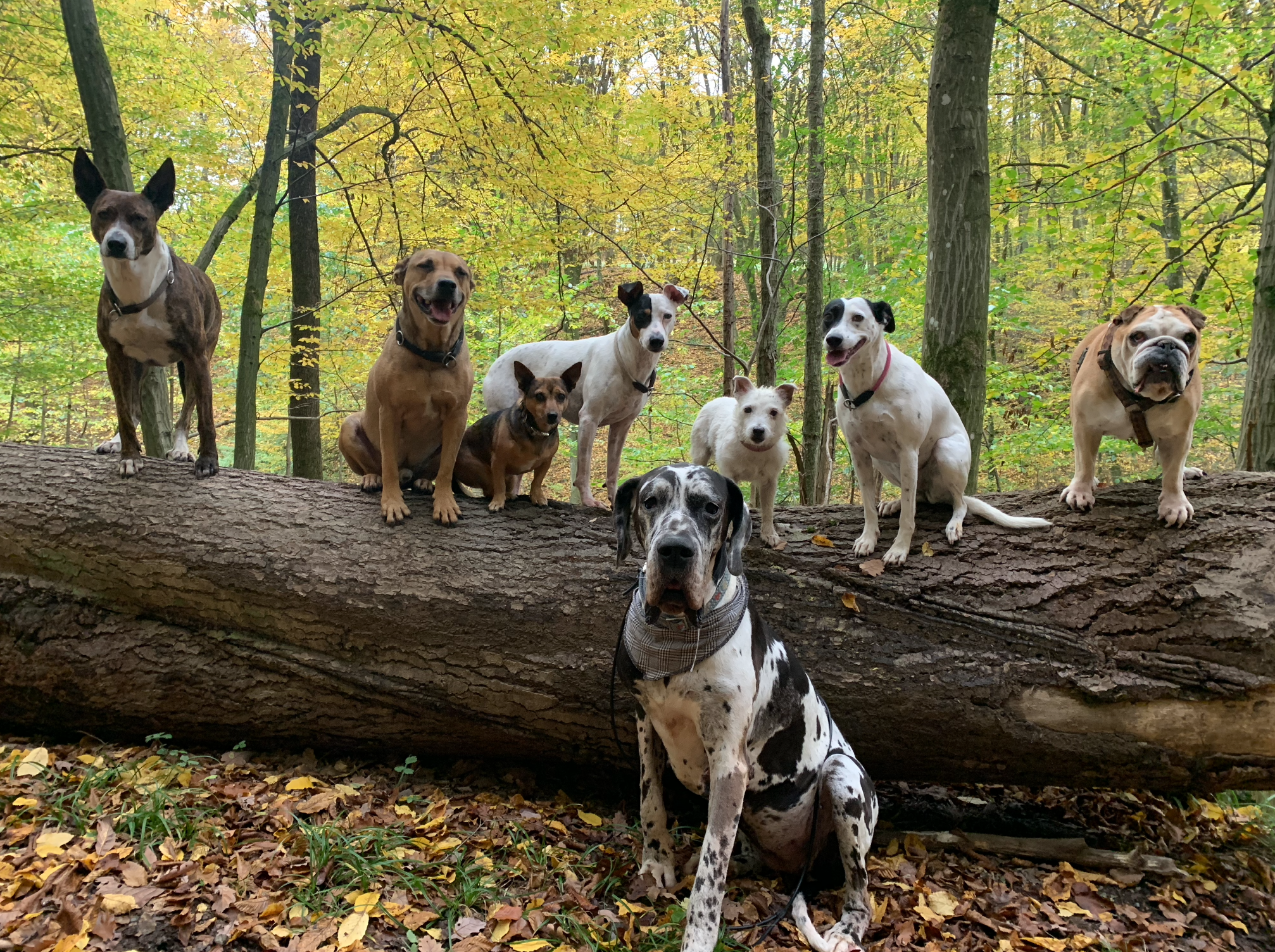 Unterwegs mit den Urlaubsgästen